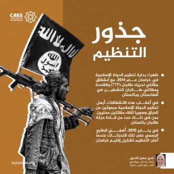 جذور التنظيم