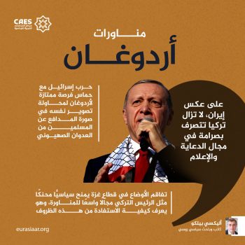 مناورات أردوغان