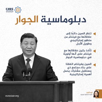 دبلوماسية الجوار
