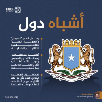 أشباه دول