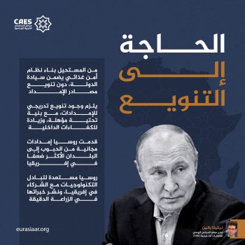 الحاجة إلى التنويع