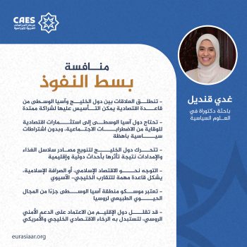 منافسة بسط النفوذ