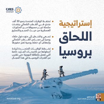 إستراتيجية اللحاق بروسيا