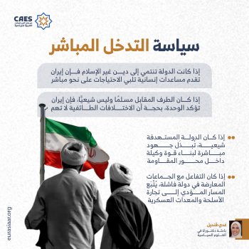 سياسة التدخل المباشر