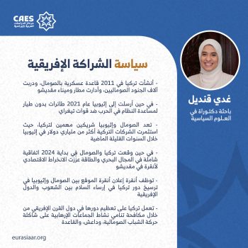 سياسة الشراكة الإفريقية