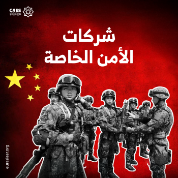 شركات الأمن الخاصة