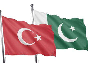 هل تدخل تركيا في مواجهة عسكرية مباشرة مع الهند لصالح باكستان؟