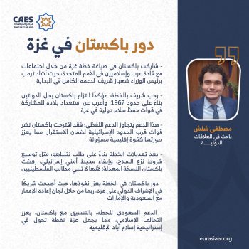 دور باكستان في غزة