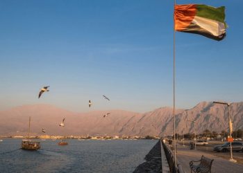 السياسة الإماراتية في قيادة المنطقة.. الشراكة الإستراتيجية والتجارية مع روسيا