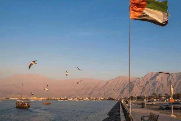 السياسة الإماراتية في قيادة المنطقة.. الشراكة الإستراتيجية والتجارية مع روسيا