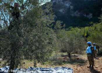 إسرائيل تستخدم السلاح الكيماوي لضرب جنوب لبنان بمباركة أمريكية