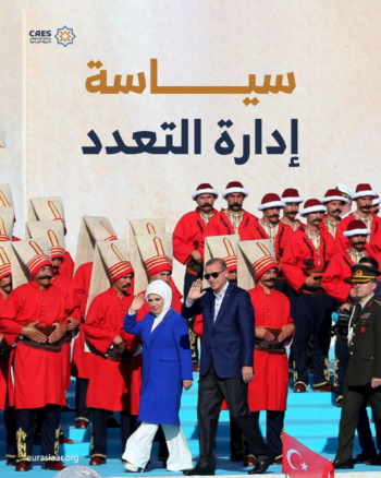 سياسة إدارة التعدد
